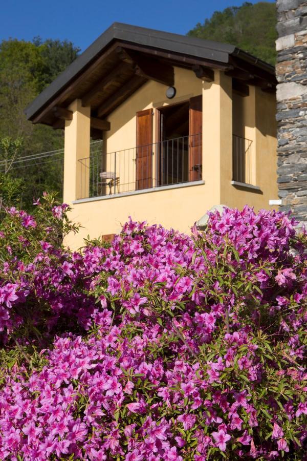 פטנאסקו Violina Casa Vacanze מראה חיצוני תמונה